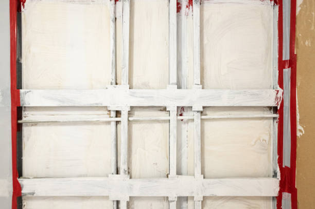 Citrus Heights, CA Mold Removal Company