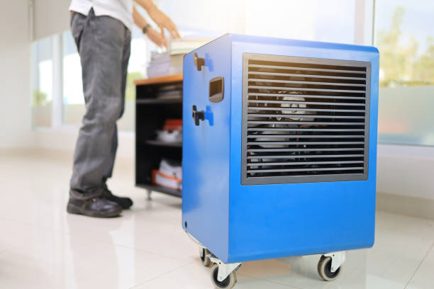 Best Black Mold Removal  in Citrus Heights, CA